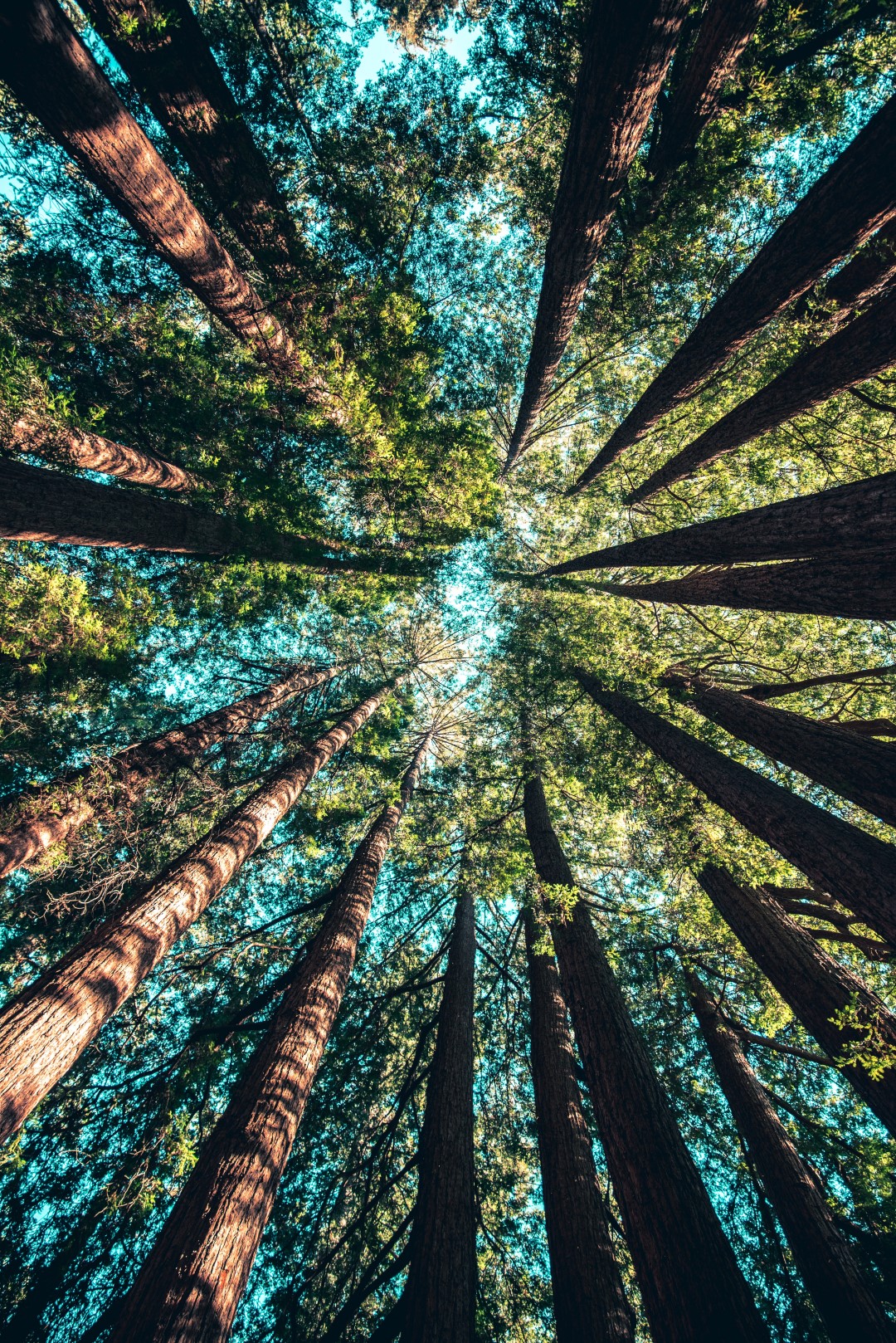 casey-horner-4rDCa5hBlCs-unsplash (Large) casey-horner-4rDCa5hBlCs-unsplash (Large)